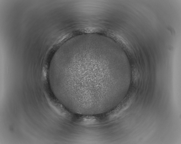 X0000110880214200907021504