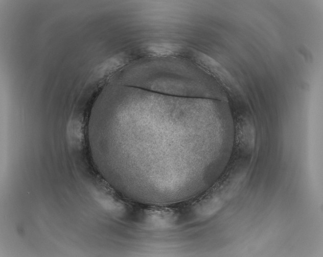 X0000110880215200907021504