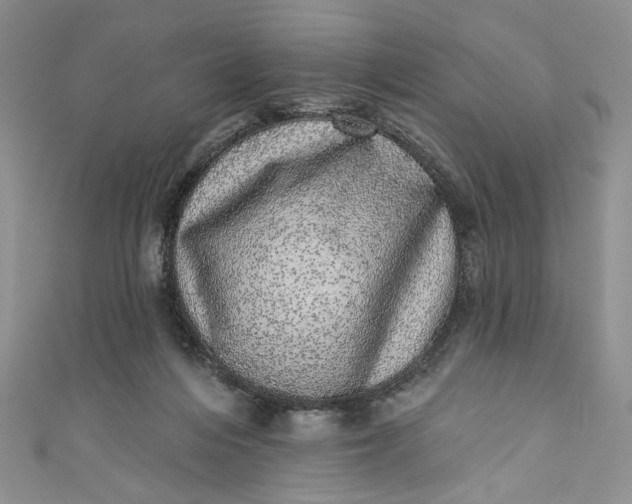 X0000110880216200907021504