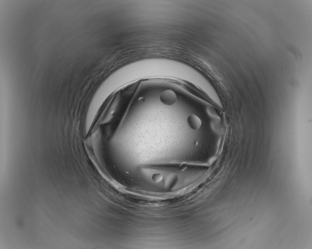 X0000110880217200907021503