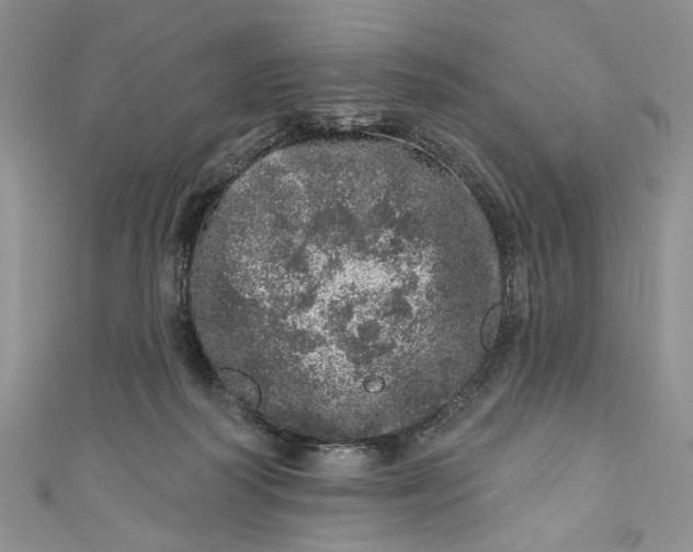 X0000110880218200907021503