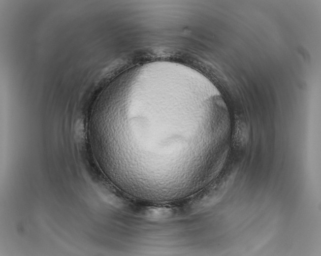 X0000110880220200907021503
