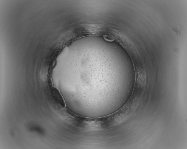 X0000110880221200907021503
