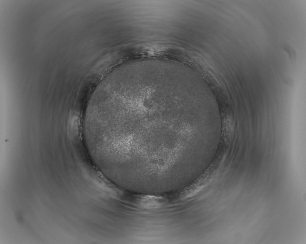 X0000110880222200907021503