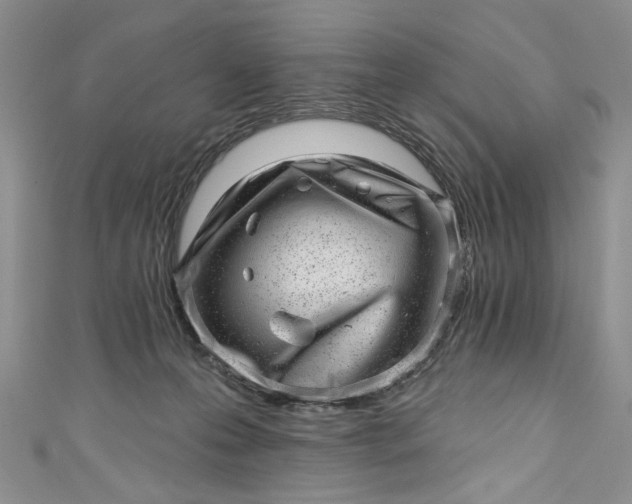 X0000110880223200907021503