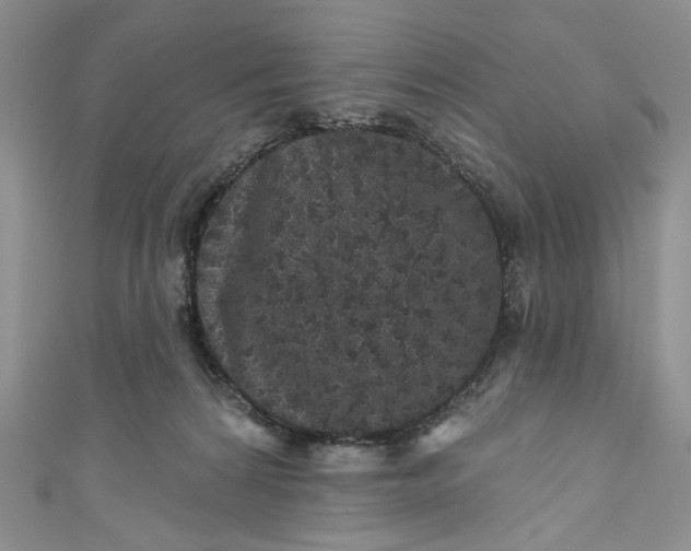 X0000110880224200907021503