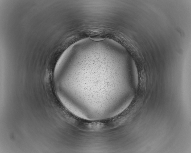 X0000110880225200907021503
