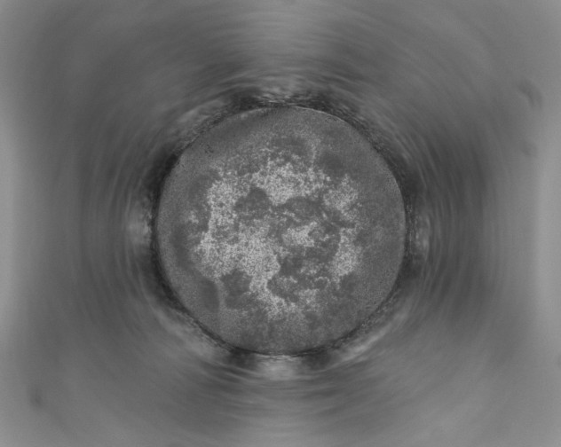 X0000110880226200907021503