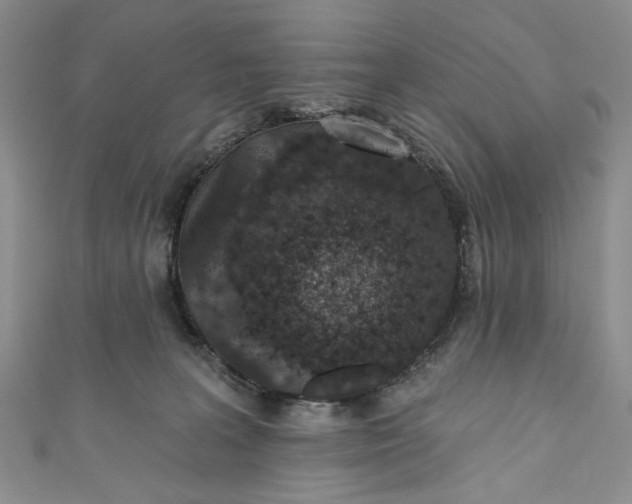 X0000110880227200907021503