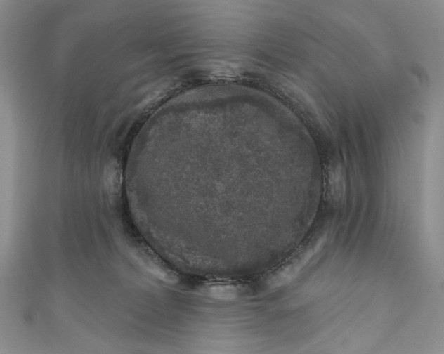 X0000110880228200907021503