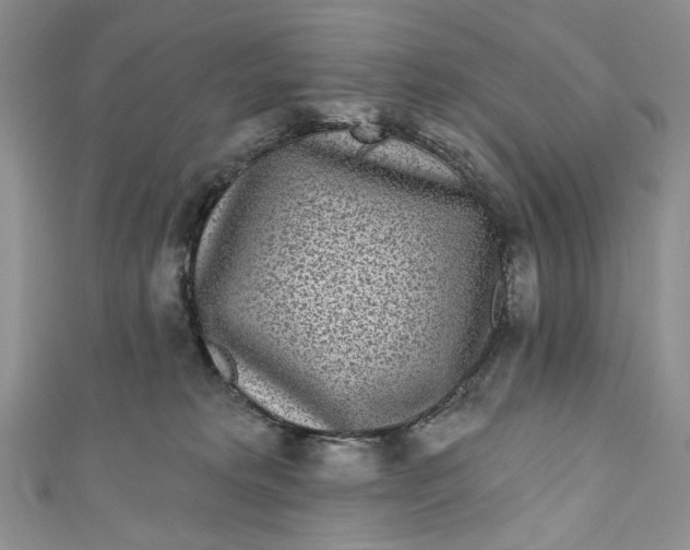 X0000110880229200907021503