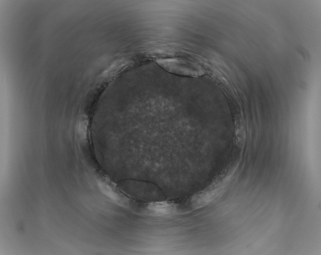 X0000110880231200907021503