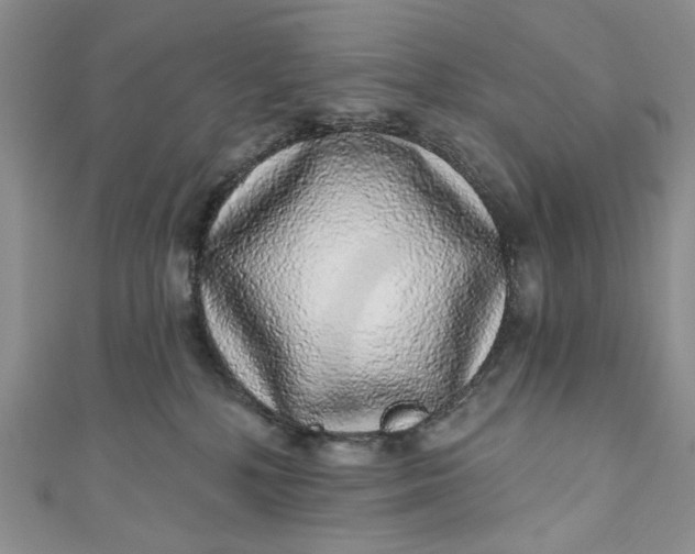 X0000110880232200907021503