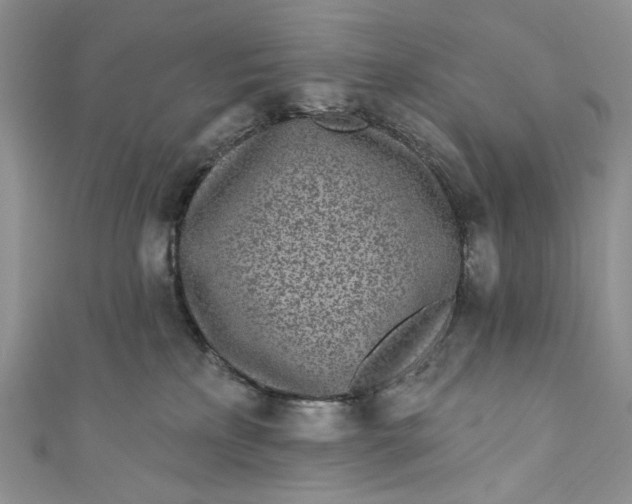 X0000110880233200907021503