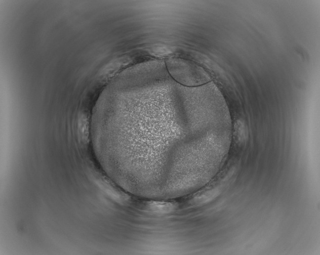 X0000110880234200907021503