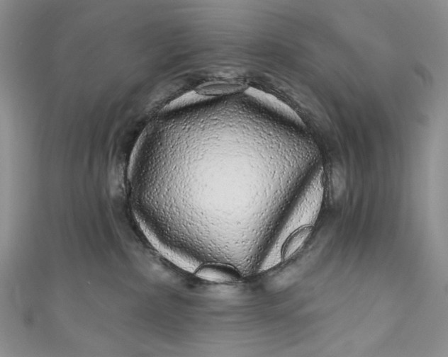 X0000110880236200907021503