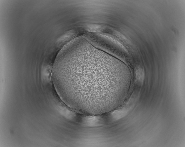 X0000110880237200907021503