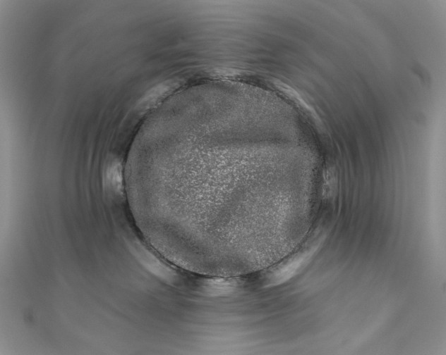 X0000110880238200907021503