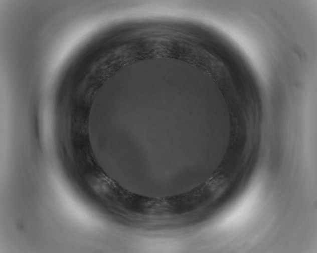 X0000110880239200907021503
