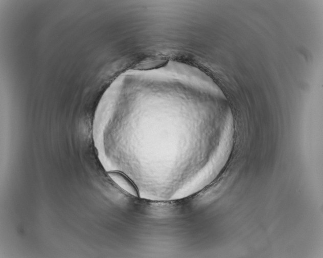 X0000110880240200907021503
