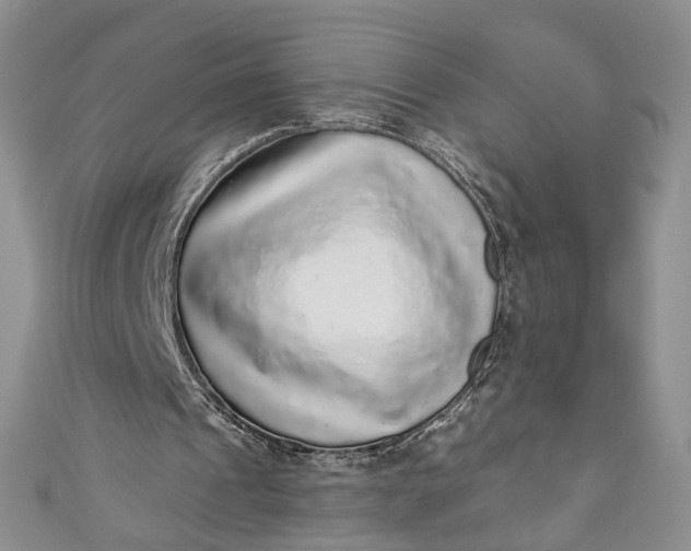 X0000110880241200907021502