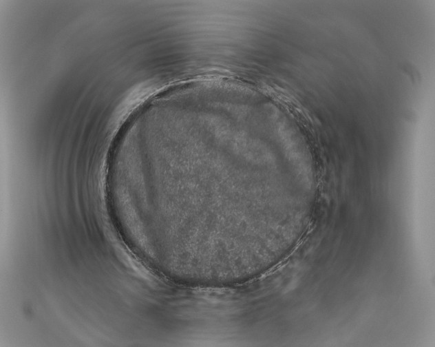 X0000110880242200907021502