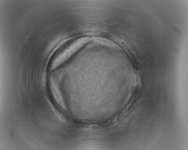 X0000110880243200907021502