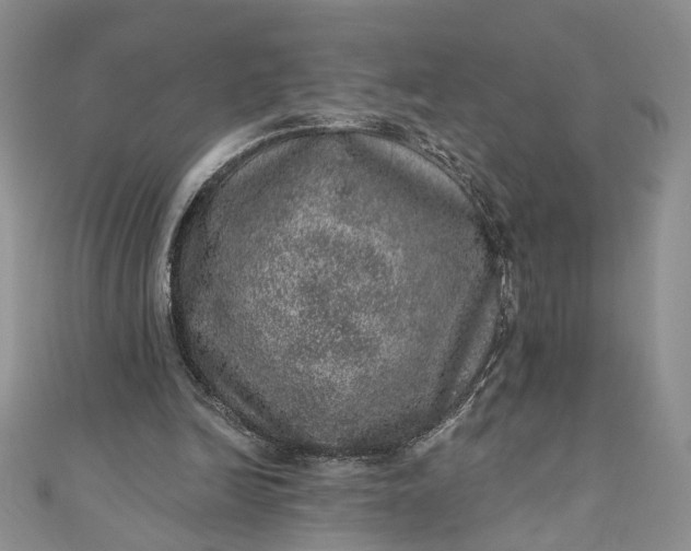 X0000110880246200907021502