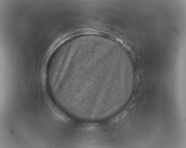 X0000110880247200907021502