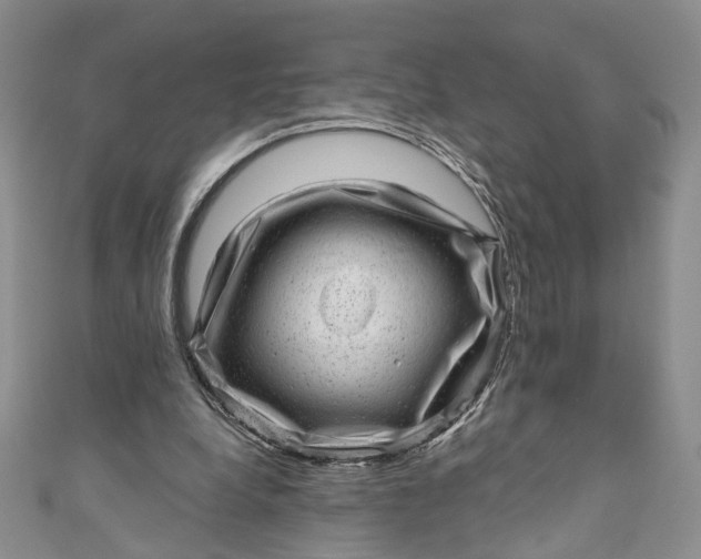 X0000110880248200907021502