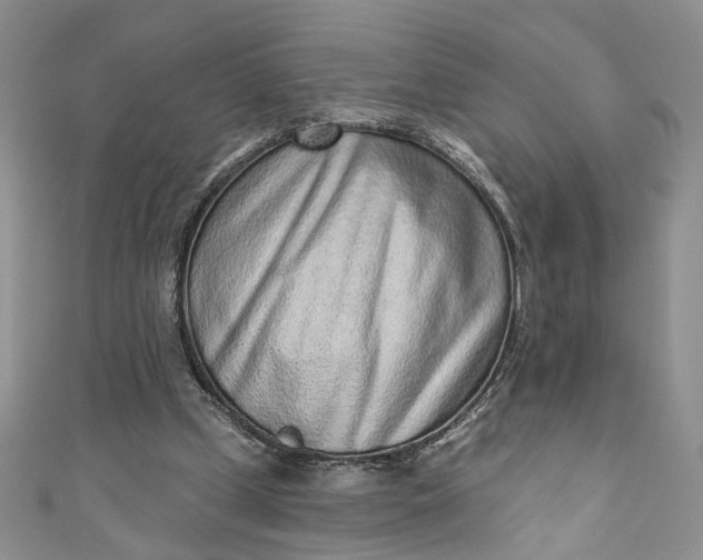 X0000110880249200907021503