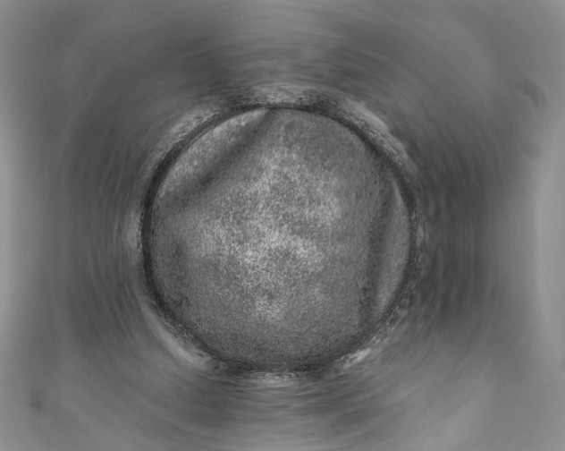 X0000110880250200907021503