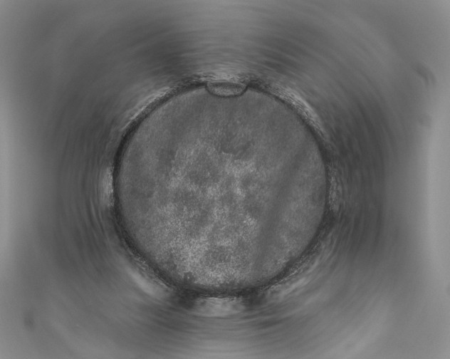 X0000110880251200907021503