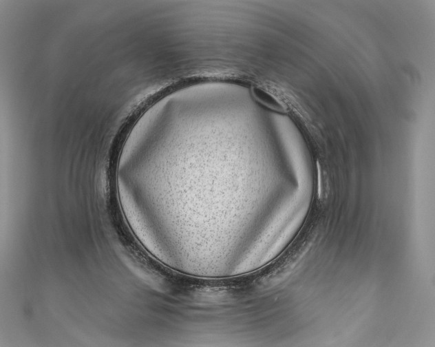 X0000110880252200907021503