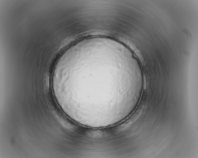 X0000110880253200907021503