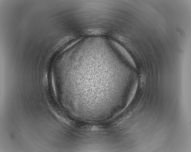 X0000110880254200907021503