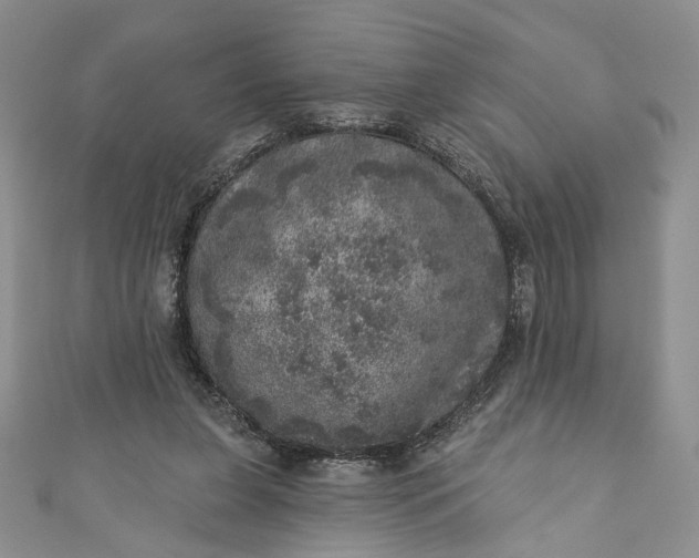 X0000110880255200907021503