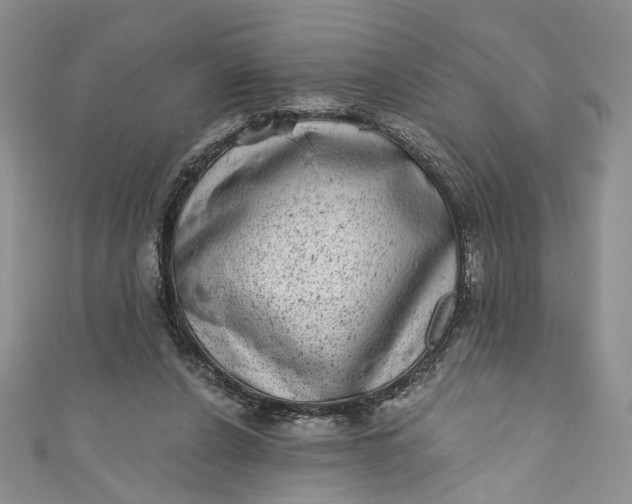 X0000110880256200907021503