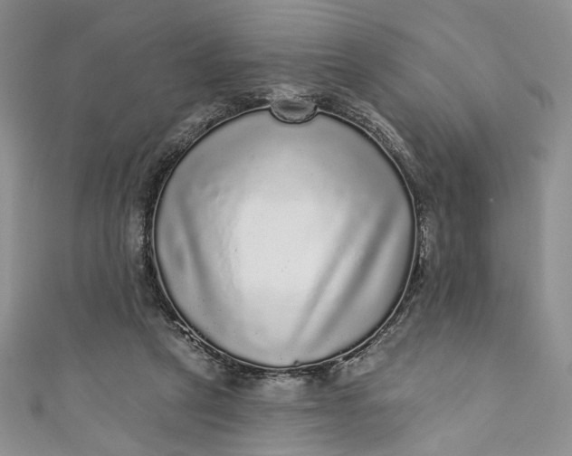 X0000110880257200907021503