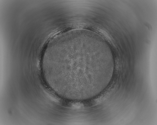 X0000110880258200907021503