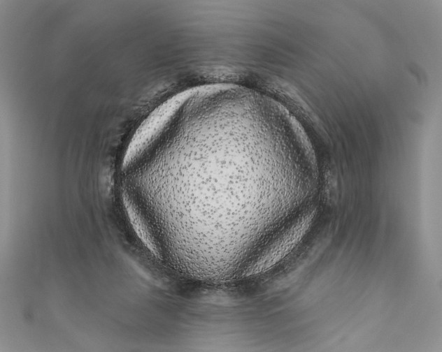 X0000110880259200907021503