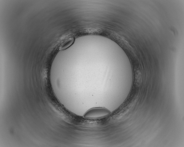 X0000110880260200907021503