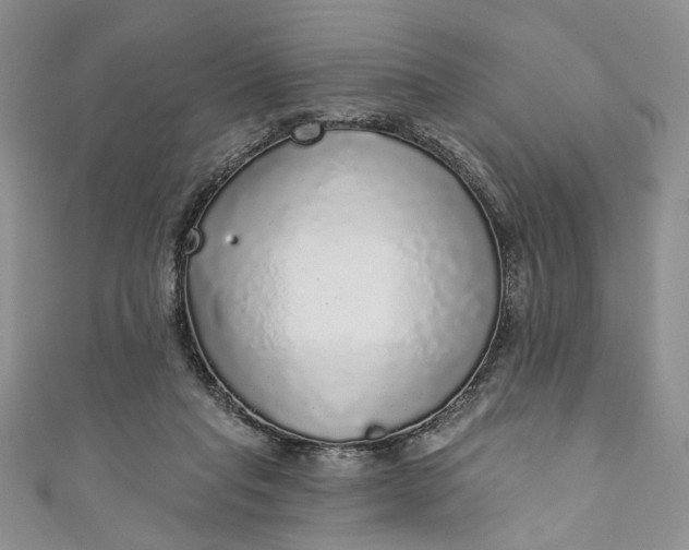 X0000110880261200907021503