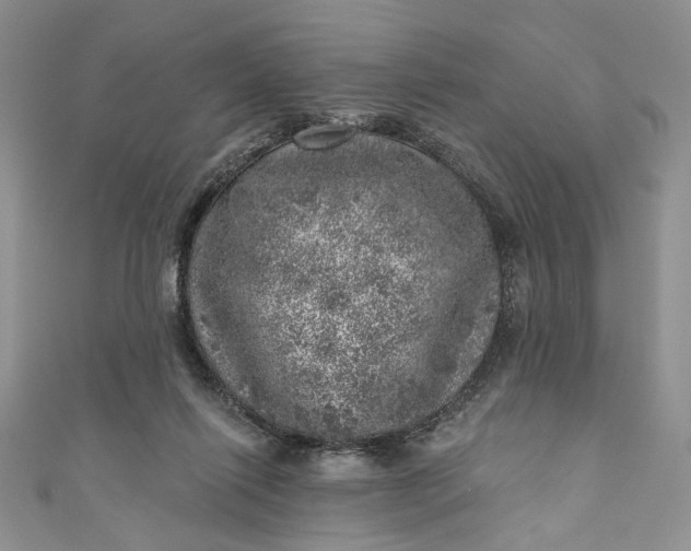 X0000110880262200907021503