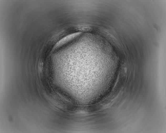 X0000110880263200907021503