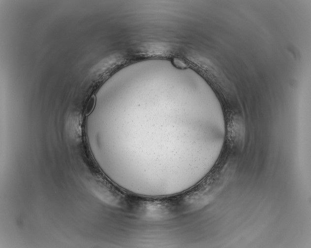 X0000110880264200907021503