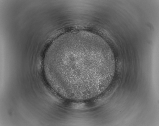 X0000110880266200907021503