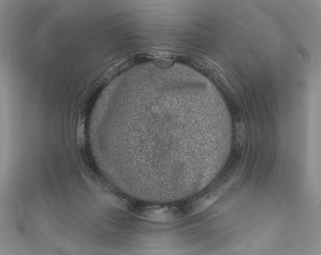 X0000110880267200907021503