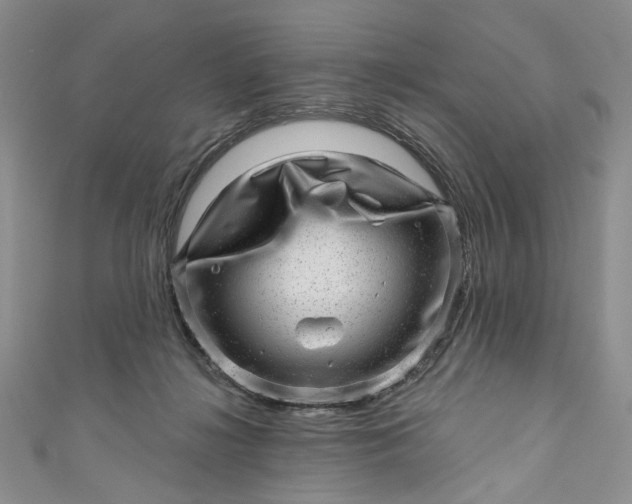X0000110880268200907021503