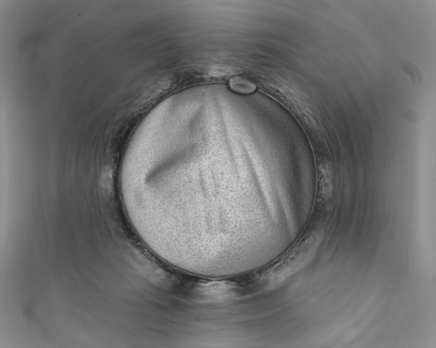 X0000110880269200907021503